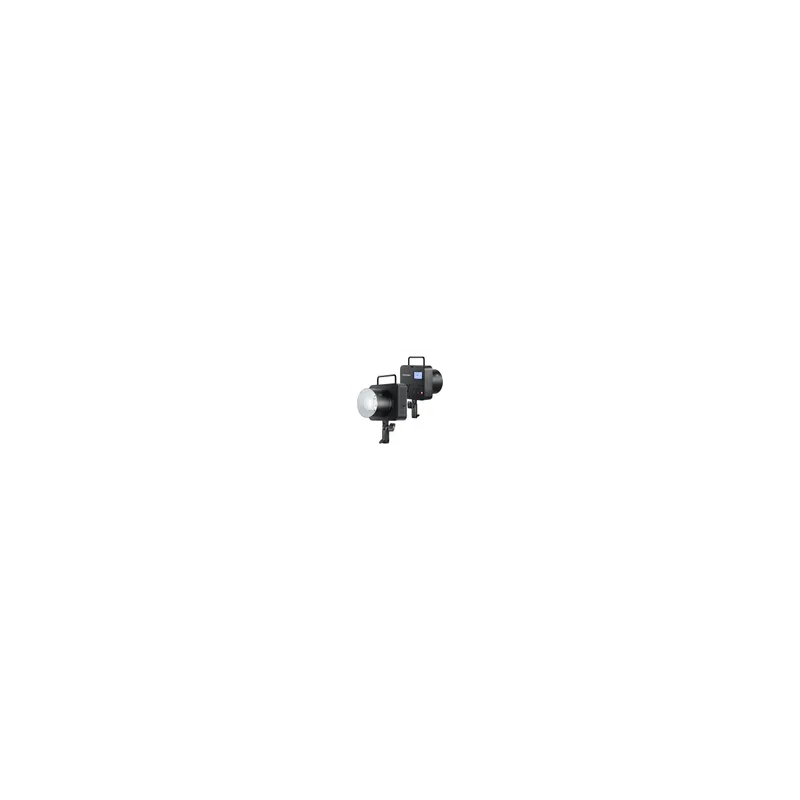 Neewer Q4 Flash with Battery